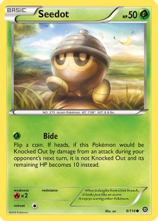 Seedot 009/114 XY Steam Siege - Common