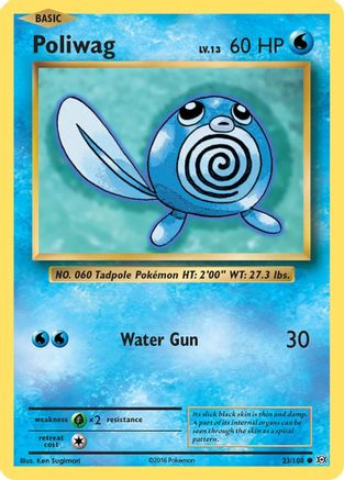 Poliwag 023/108 XY Evolutions - Common