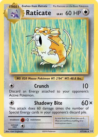Raticate 067/108 - Reverse Holofoil XY Evolutions - Rare