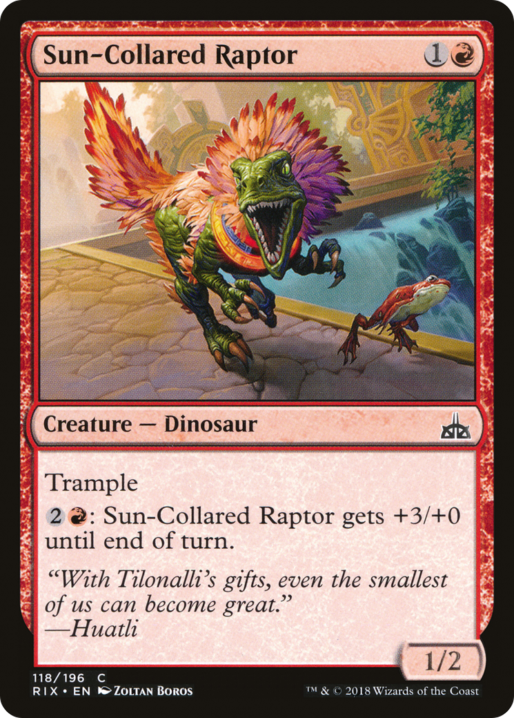 Sun-Collared Raptor (RIX-118) - Rivals of Ixalan