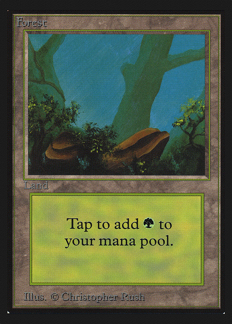 Forest (A) (IE) (IED-300) - Intl. Collectors' Edition