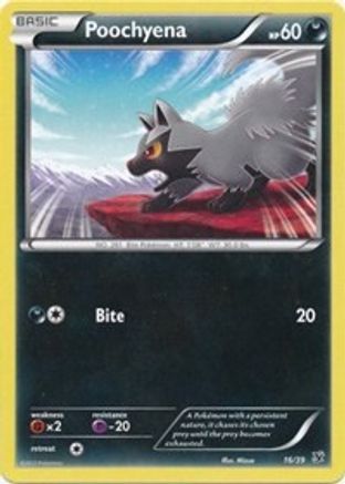 Poochyena 016 Kalos Starter Set - Common