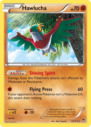 Hawlucha 063/111 - Holofoil XY Furious Fists - Holo Rare