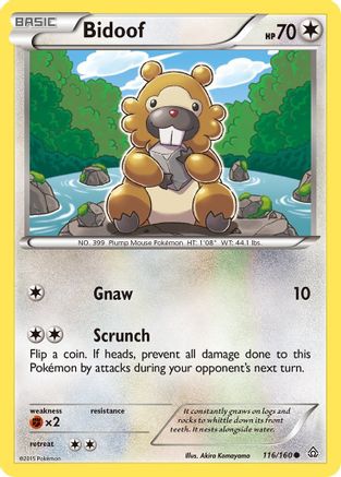 Bidoof 116/160 - Reverse Holofoil XY Primal Clash - Common