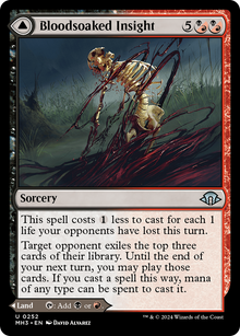 Bloodsoaked Insight // Sanguine Morass⁣ - Modern Horizons 3⁣ (Uncommon)⁣ [252]
