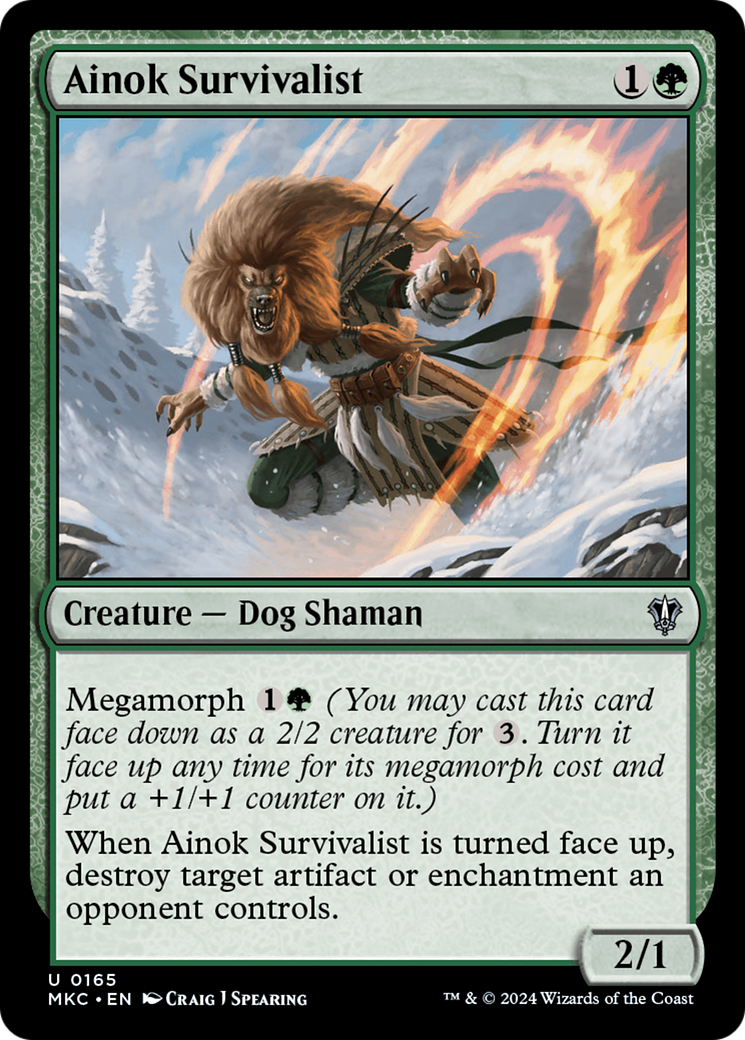 Ainok Survivalist⁣ - Commander: Murders at Karlov Manor⁣ (Uncommon)⁣ [165]