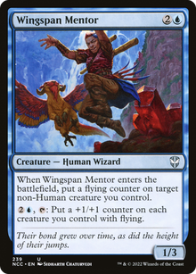 Wingspan Mentor⁣ - Commander: Streets of New Capenna⁣ (Uncommon)⁣ [239]