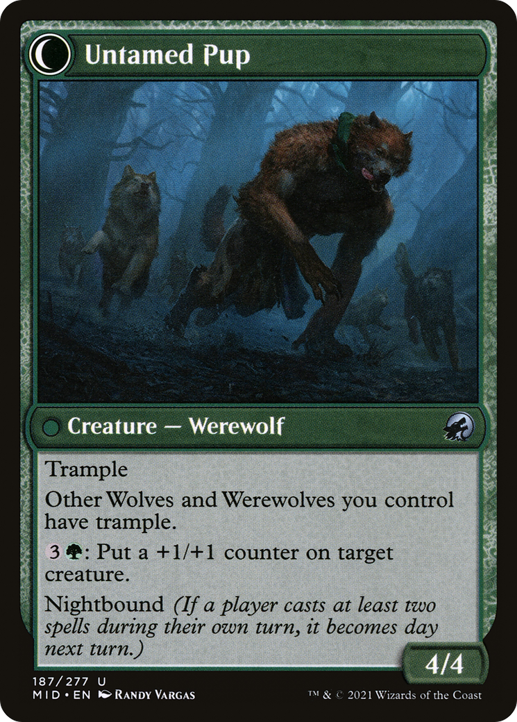 Hound Tamer (MID-187) - Innistrad: Midnight Hunt: (Double Faced Transform)