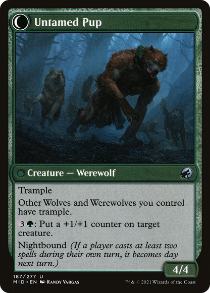 Hound Tamer (MID-187) - Innistrad: Midnight Hunt: (Double Faced Transform)