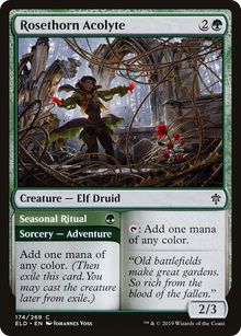 Rosethorn Acolyte (ELD-174) - Throne of Eldraine Foil