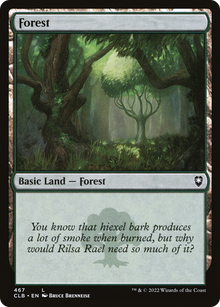 Forest (V.1)⁣ - Commander Legends: Battle for Baldur's Gate: Extras⁣ (Land)⁣ [467]