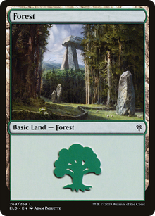 Forest (269) (ELD-269) - Throne of Eldraine Foil