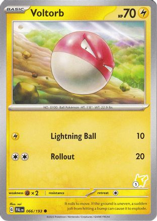 Voltorb - Pikachu 1 066  Battle Academy 2024 - Common