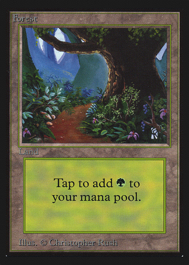 Forest (B) (IE) (IED-301) - Intl. Collectors' Edition