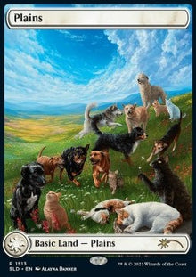Plains⁣ - Secret Lair Commander Deck: Raining Cats and Dogs⁣ (Land)⁣ [1513]