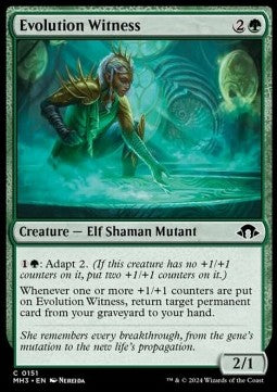 Evolution Witness⁣ - Modern Horizons 3⁣ (Common)⁣ [151]