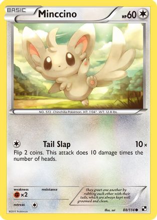 Minccino 088/114  - Reverse Holofoil Black and White - Common