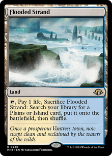 Flooded Strand⁣ - Modern Horizons 3⁣ (Rare)⁣ [220]