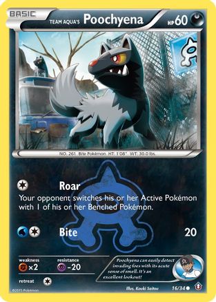 Team Aqua's Poochyena 016/34  - Reverse Holofoil Double Crisis - Common