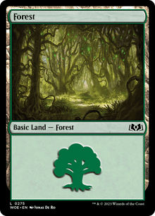 Forest (0275) (WOE-275) - Wilds of Eldraine Foil