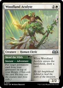 Woodland Acolyte (WOE-241) - Wilds of Eldraine Foil